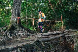 BIB: 
                            <button type="button" onclick="openModal(27543275)" class="btn btn-primary btn-sm float-right btn-popup" data-toggle="modal" data-target=".modal-high-quality">
                        <i class="fas fa-shopping-cart"></i> Add to Cart
                    </button>
                                            <button type="button" onclick="isThisMe(27543275, true)" class="btn btn-success btn-sm float-right btn-popup btn-isme hidden" data-toggle="tooltip" data-placement="bottom" title="นี่คือรูปของคุณใช่ไหม คลิกที่นี่เพื่อเอาเข้าอัลบั้ม">
                        <i class="fas fa-plus"></i> Add to album
                    </button>
                    <button type="button" onclick="isThisMe(27543275, false)" class="btn btn-warning btn-sm float-right btn-popup btn-isnotme hidden">
                        <i class="fas fa-ban"></i> Remove from album
                    </button>